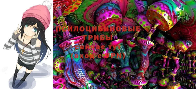 Галлюциногенные грибы MAGIC MUSHROOMS  Астрахань 